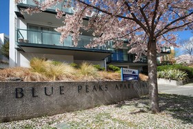 Blue Peaks Apartments