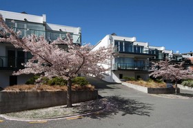 Blue Peaks Apartments