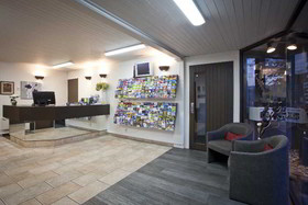The Lofts Apartments