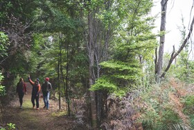 Lone Moose Backpackers