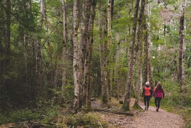 Lone Moose Backpackers