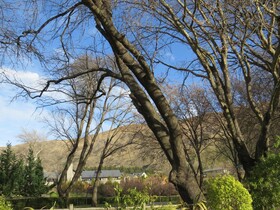 Altamont Lodge