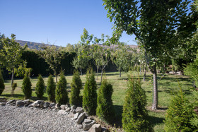 Cardrona Valley Lodge