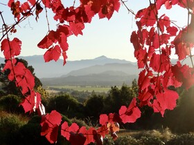 Mitchella Farm Bed & Breakfast