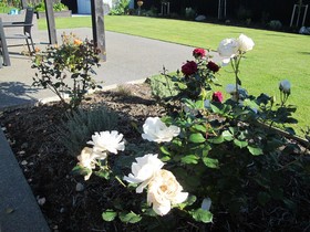Halkett Grove Bed and Breakfast