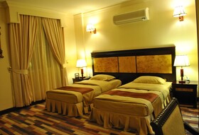 Capital O 155 Dmas Hotel