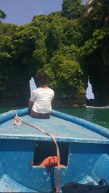 Bastimentos Caribean Hotel