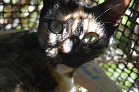 Beverly's Hill Guest House