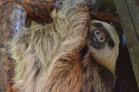 Beverly's Hill Guest House