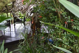 Beverly's Hill Guest House