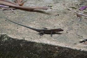 Beverly's Hill Guest House