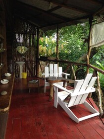 Beverly's Hill Guest House