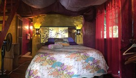 Free Spirit Oasis