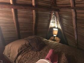 Free Spirit Oasis