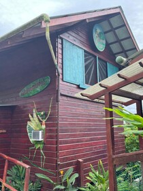 Free Spirit Oasis