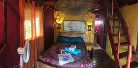 Free Spirit Oasis