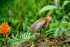 Hotel Eclypse de Mar Acqua Lodge