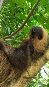 Hotel Eclypse de Mar Acqua Lodge