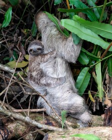 Hotel Eclypse de Mar Acqua Lodge