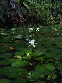 Hotel Eclypse de Mar Acqua Lodge