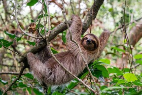 Hotel Eclypse de Mar Acqua Lodge