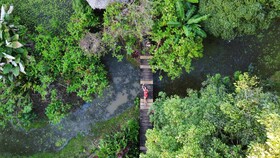 Hotel Eclypse de Mar Acqua Lodge