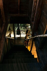 La Loma Jungle Lodge & Chocolate Farm