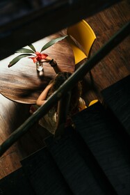 La Loma Jungle Lodge & Chocolate Farm