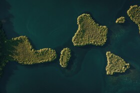 La Loma Jungle Lodge & Chocolate Farm