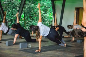 La Loma Jungle Lodge & Chocolate Farm