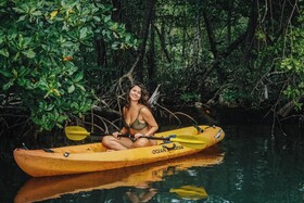 La Loma Jungle Lodge & Chocolate Farm