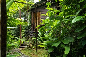 La Loma Jungle Lodge & Chocolate Farm