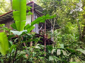 La Loma Jungle Lodge & Chocolate Farm