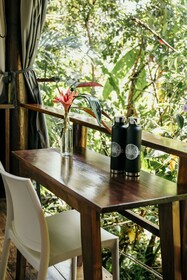 La Loma Jungle Lodge & Chocolate Farm