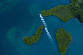 La Loma Jungle Lodge & Chocolate Farm