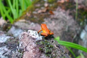 Los Secretos Guesthouse