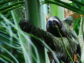 Los Secretos Guesthouse