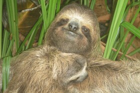 Los Secretos Guesthouse