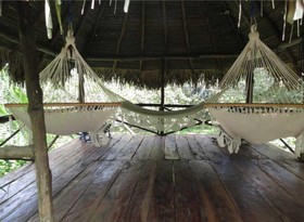 Monkey Lodge Panama