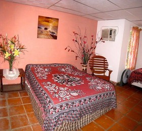 Panama Divers & Octopus Garden Dive Center