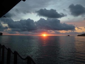 Panama Divers & Octopus Garden Dive Center