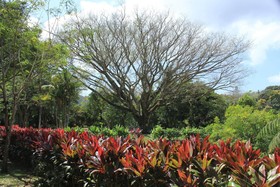 Crater Valley Boutique Hotel