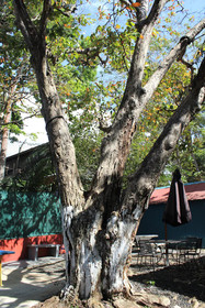 Hostal Amador Familiar