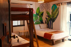 Supertramp Hostel Machupicchu