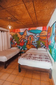 Supertramp Hostel Machupicchu