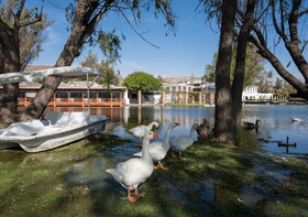 BTH Hotel Arequipa Lake