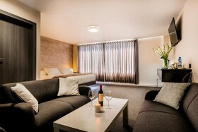 Hotel Viza