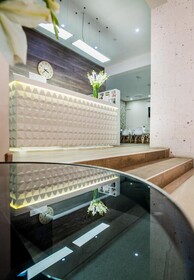 Hotel Viza