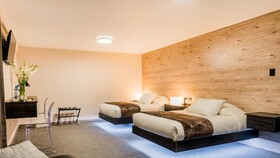 Hotel Viza
