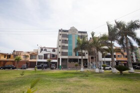 Palmetto La Perla